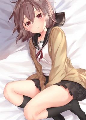 熊出没在线观看完整版免费